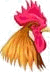 haantje